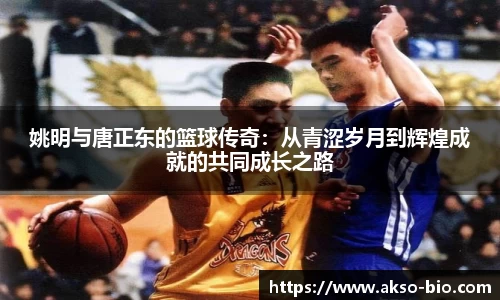 zoty中欧体育