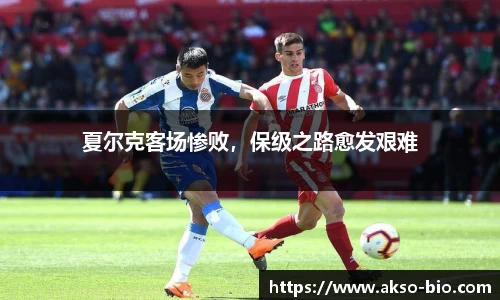 zoty中欧体育
