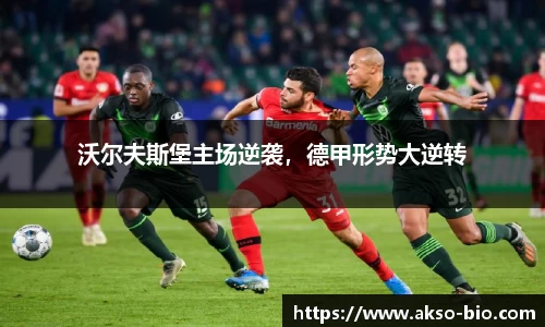 zoty中欧体育