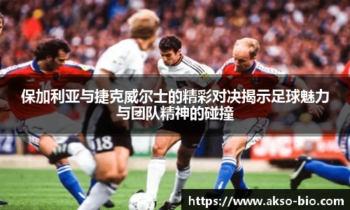 zoty中欧体育
