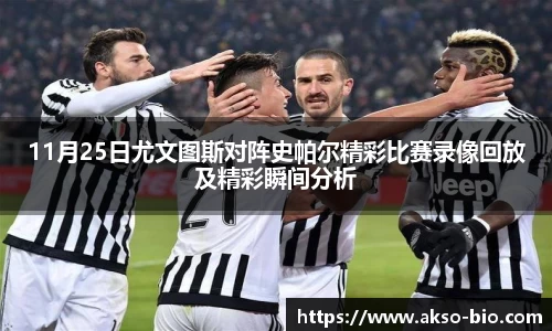 zoty中欧体育官方网站