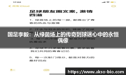 国足李毅：从绿茵场上的传奇到球迷心中的永恒偶像